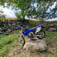 Yamaha WR450