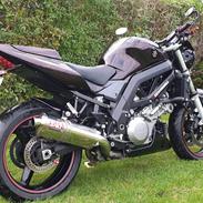 Suzuki SV1000N