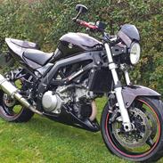 Suzuki SV1000N