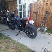 Indian FTR1200S