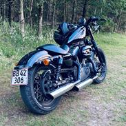 Harley Davidson Nightster Black on Black XL1200N