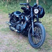 Harley Davidson Nightster Black on Black XL1200N