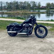 Harley Davidson Nightster Black on Black XL1200N