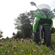 Kawasaki ER-6F "Ninja"