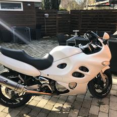 Suzuki GSX600F