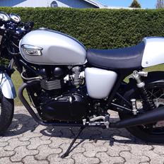 Triumph Thruxton 900 Carb.