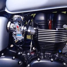 Triumph Thruxton 900 Carb.
