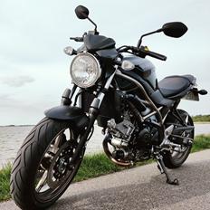 Suzuki SV 650 abs Yoshi Edit