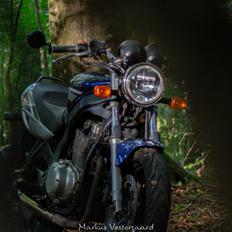 Suzuki GS 500
