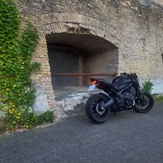 Honda CB650R Black Edition