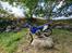 Yamaha WR450