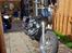 Harley Davidson Softail Standard