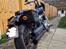 Harley Davidson Softail Standard