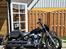Harley Davidson Softail Standard