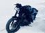 Harley Davidson Nightster Black on Black XL1200N