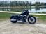 Harley Davidson Nightster Black on Black XL1200N