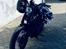 Harley Davidson Nightster Black on Black XL1200N