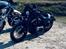 Harley Davidson Nightster Black on Black XL1200N