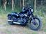 Harley Davidson Nightster Black on Black XL1200N