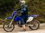 Yamaha WR450