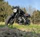 Suzuki SV650XA