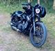 Harley Davidson Nightster Black on Black XL1200N