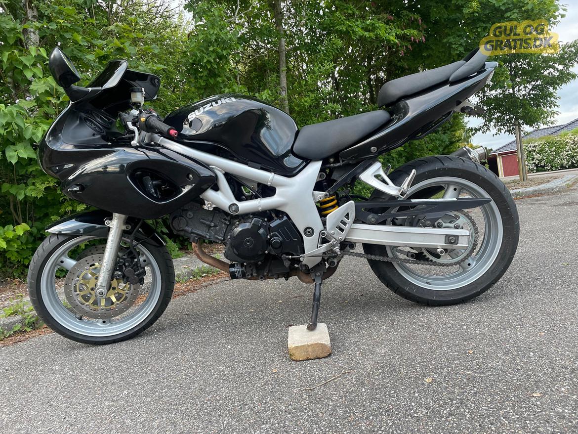 Suzuki SV 650 S billede 5