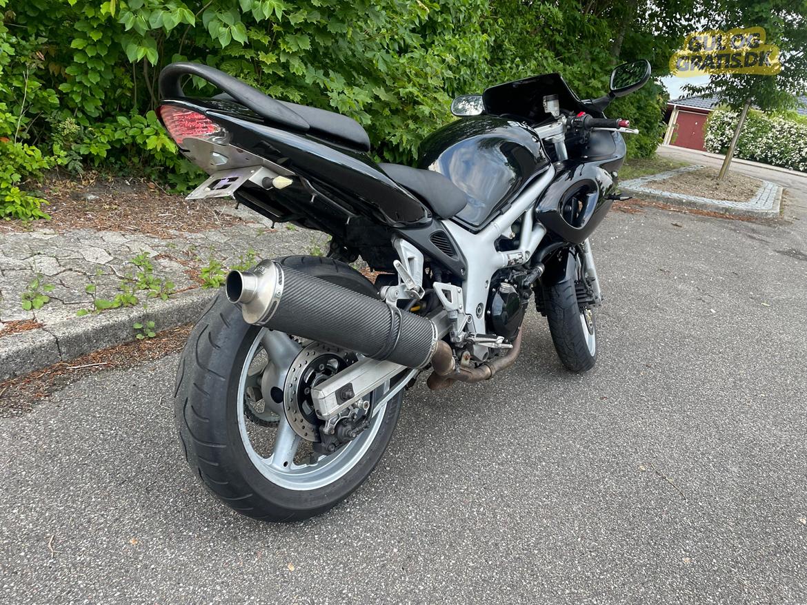 Suzuki SV 650 S billede 4