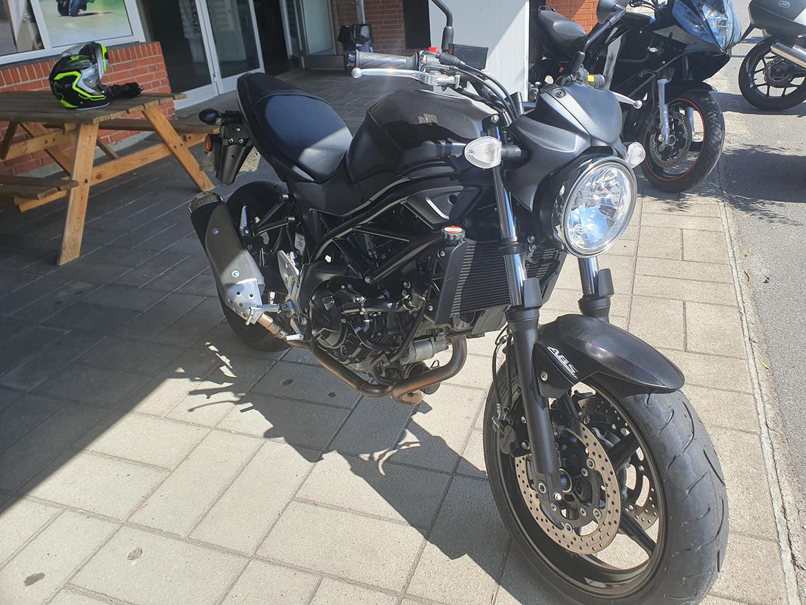 Suzuki SV 650 billede 3