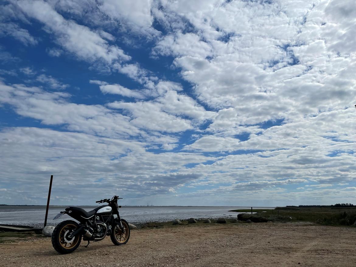 Ducati Scrambler Dark Icon billede 13