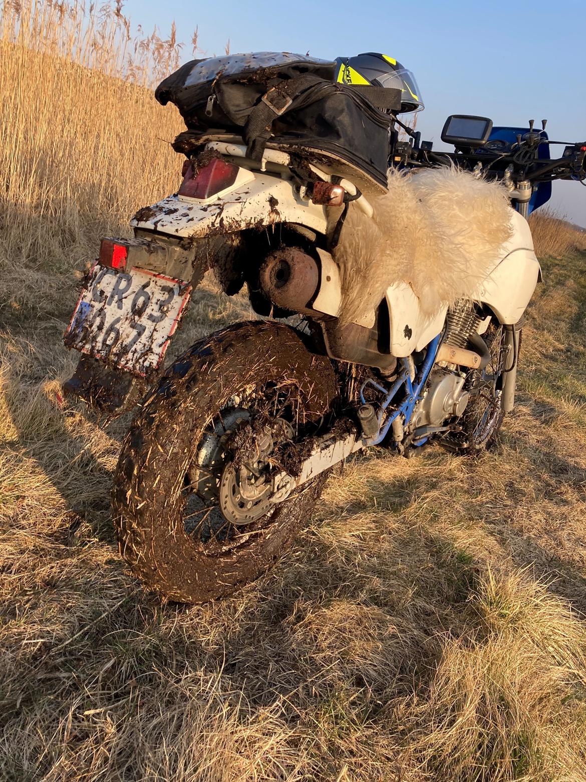 Suzuki DR650RE billede 15