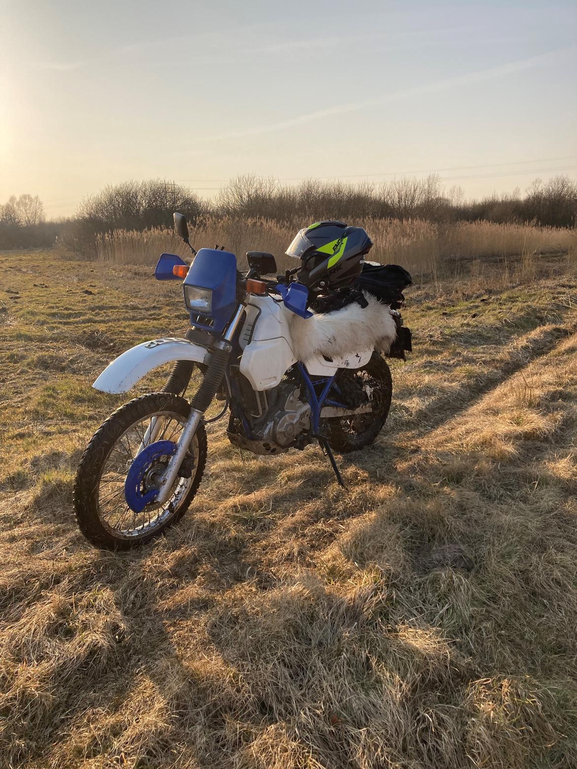 Suzuki DR650RE billede 16