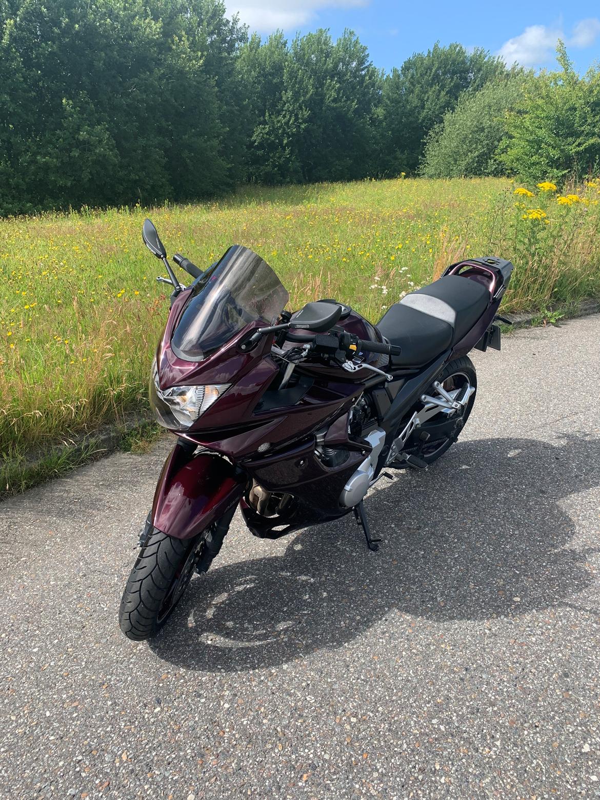 Suzuki Bandit 1250 SA billede 13