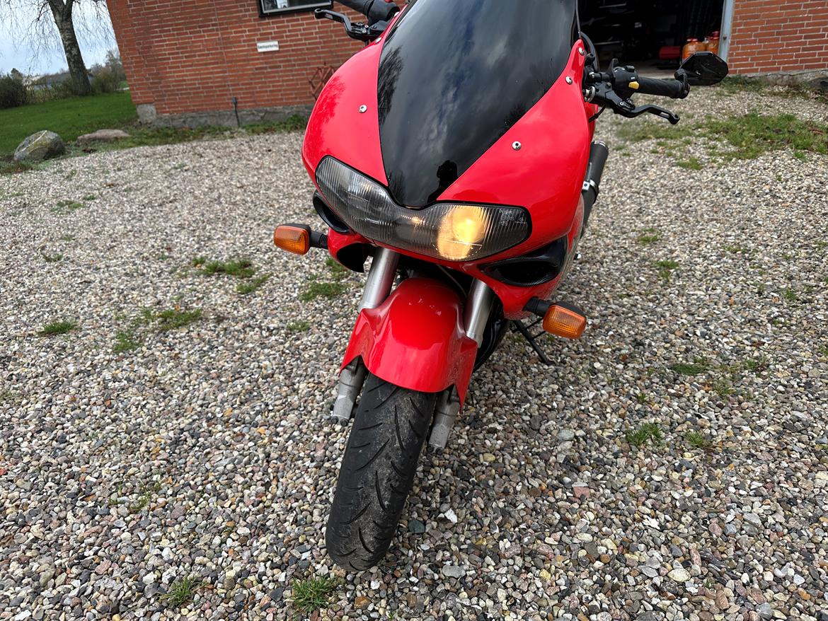 Suzuki TL1000S/R billede 6