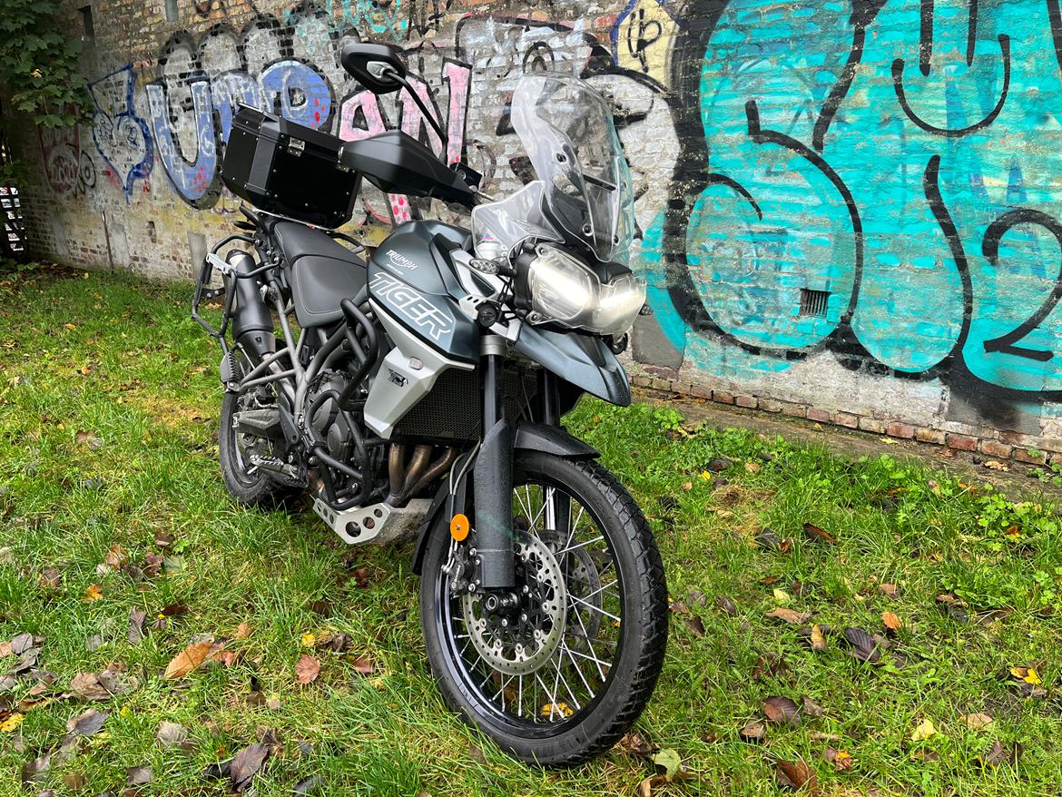 Triumph Tiger 800 XCA (solgt) billede 2