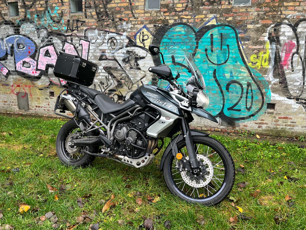 Triumph Tiger 800 XCA (solgt) billede 1