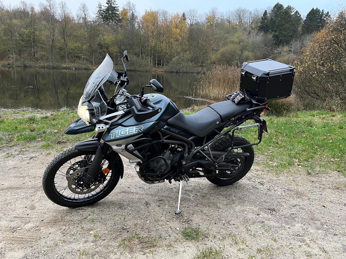 Triumph Tiger 800 XCA (solgt) billede 6