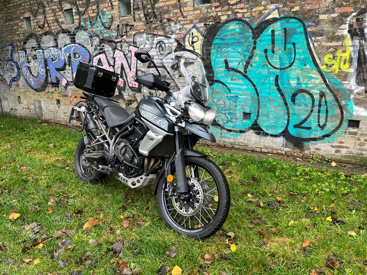 Triumph Tiger 800 XCA (solgt) billede 5