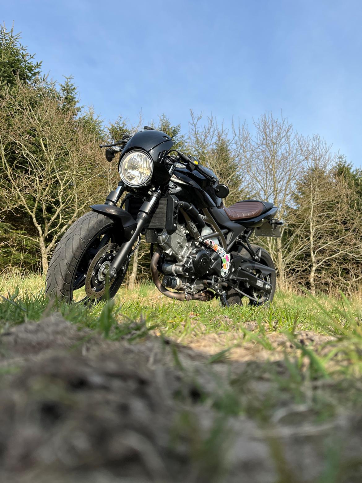 Suzuki SV650XA billede 1