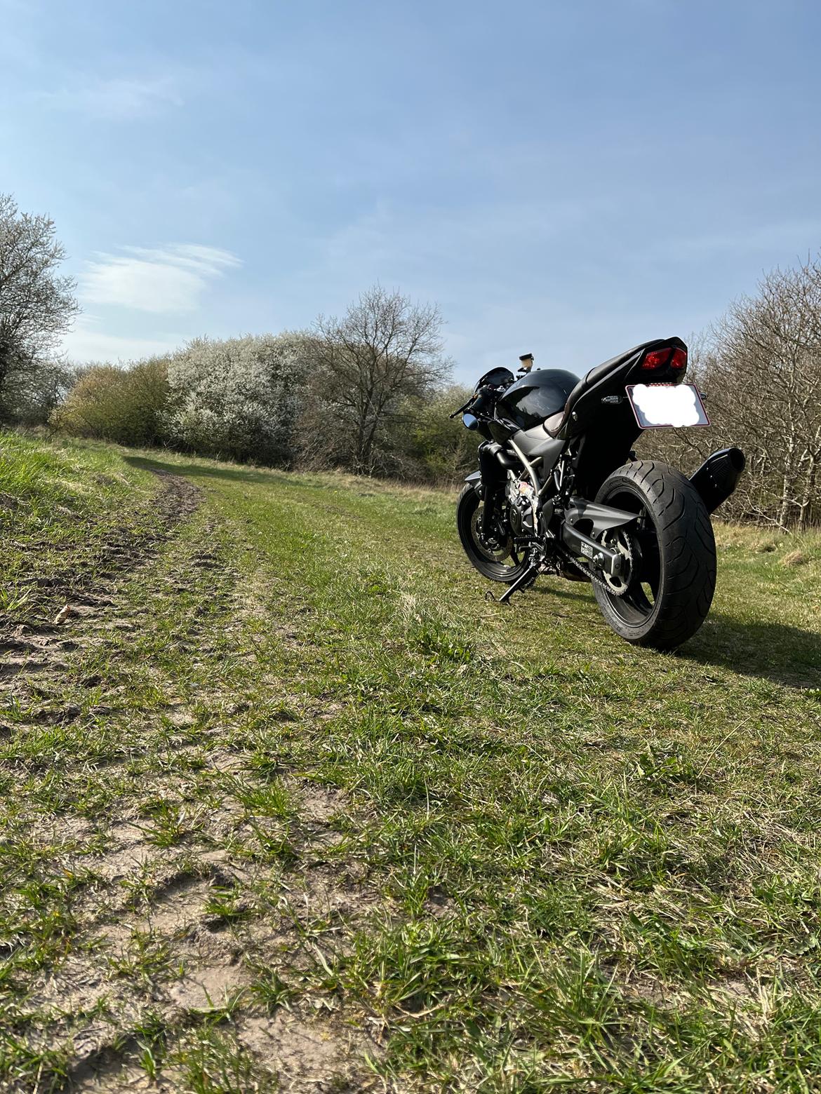 Suzuki SV650XA billede 5