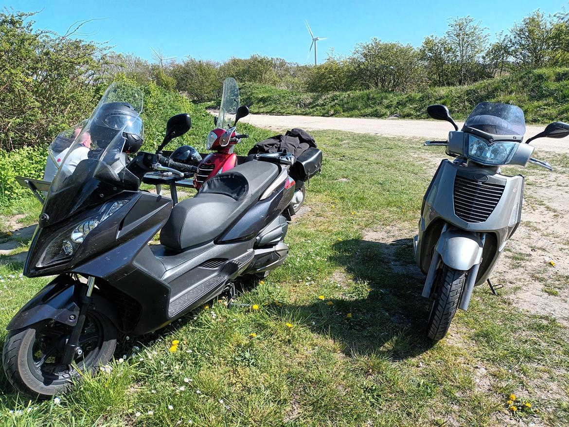 Honda PS125i billede 6