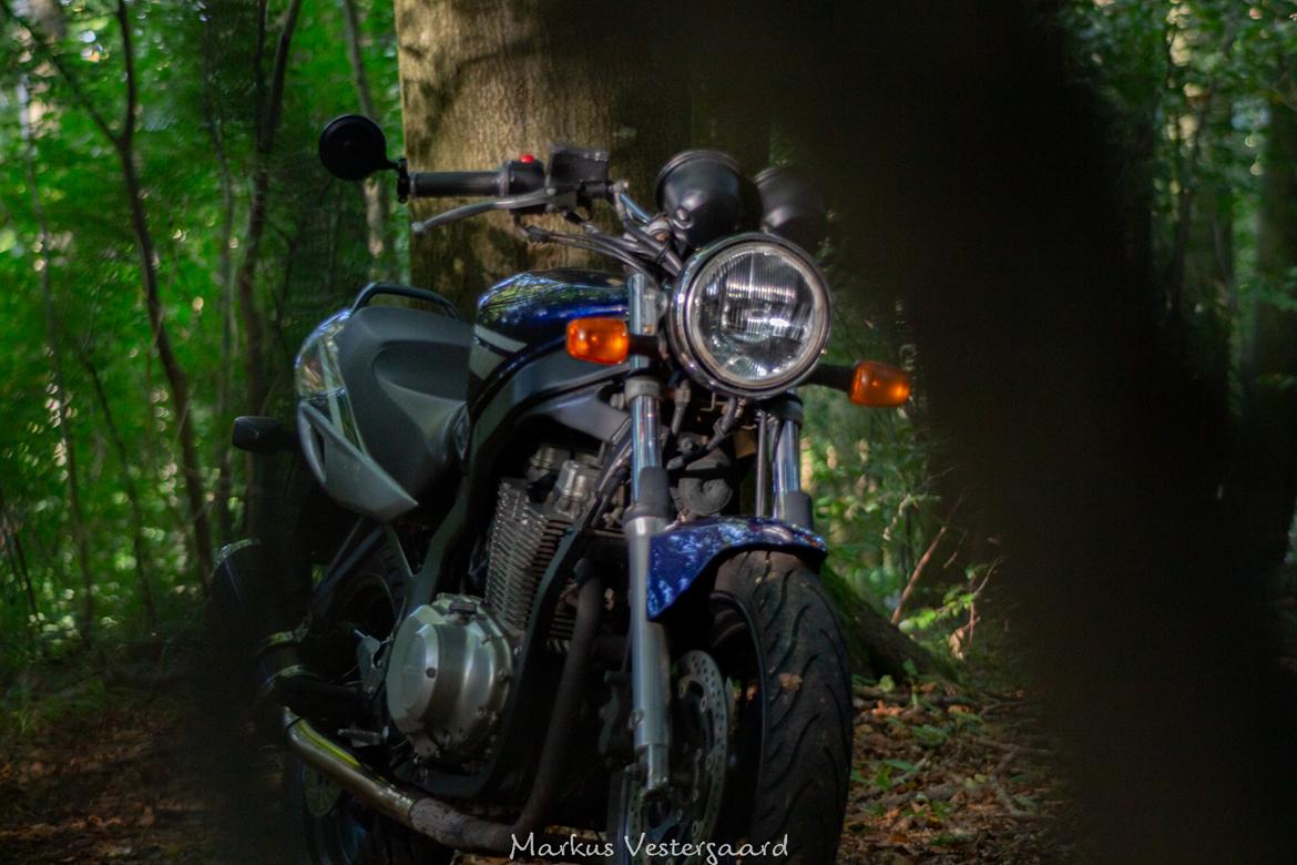 Suzuki GS 500 billede 2