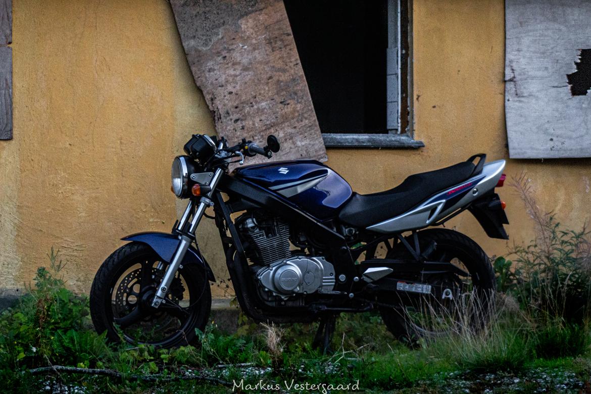 Suzuki GS 500 billede 4