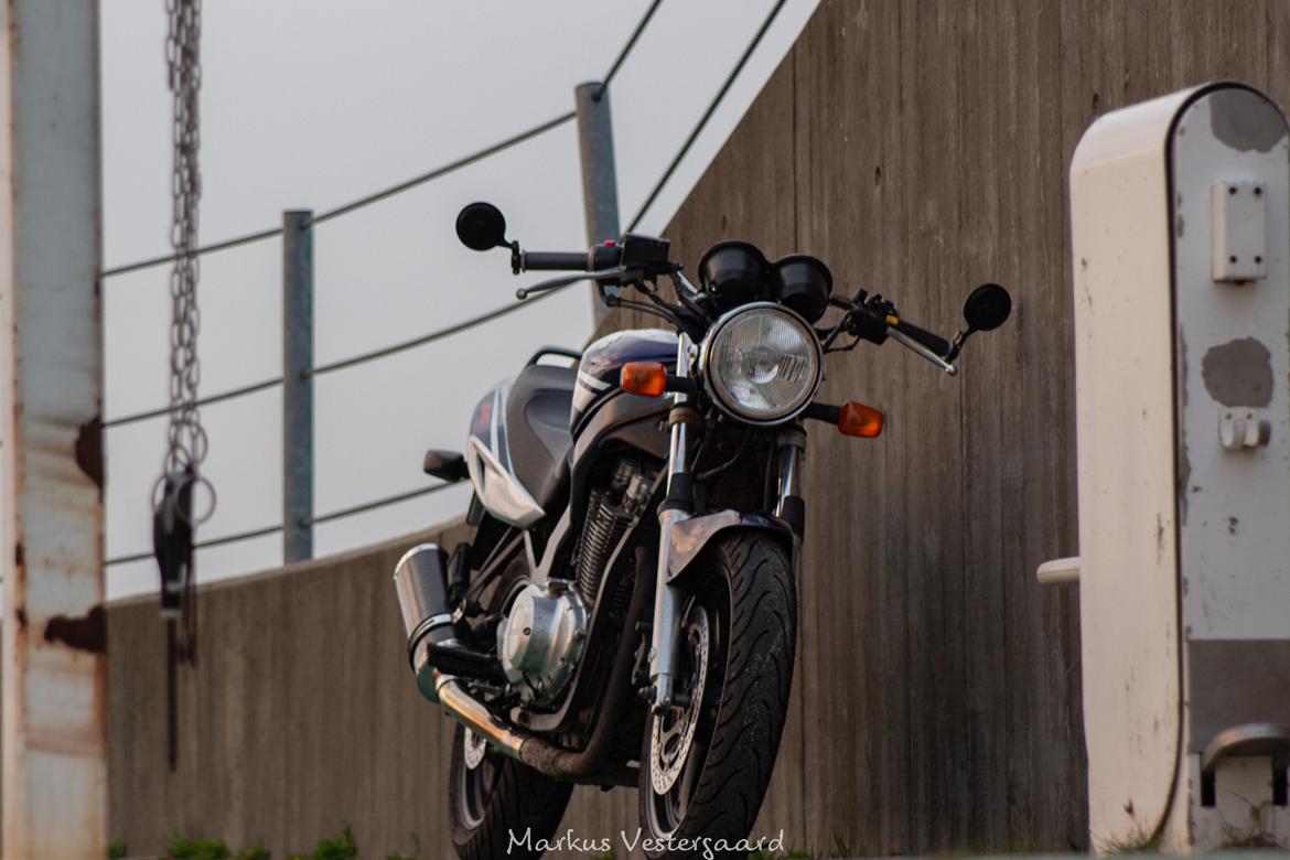 Suzuki GS 500 billede 10