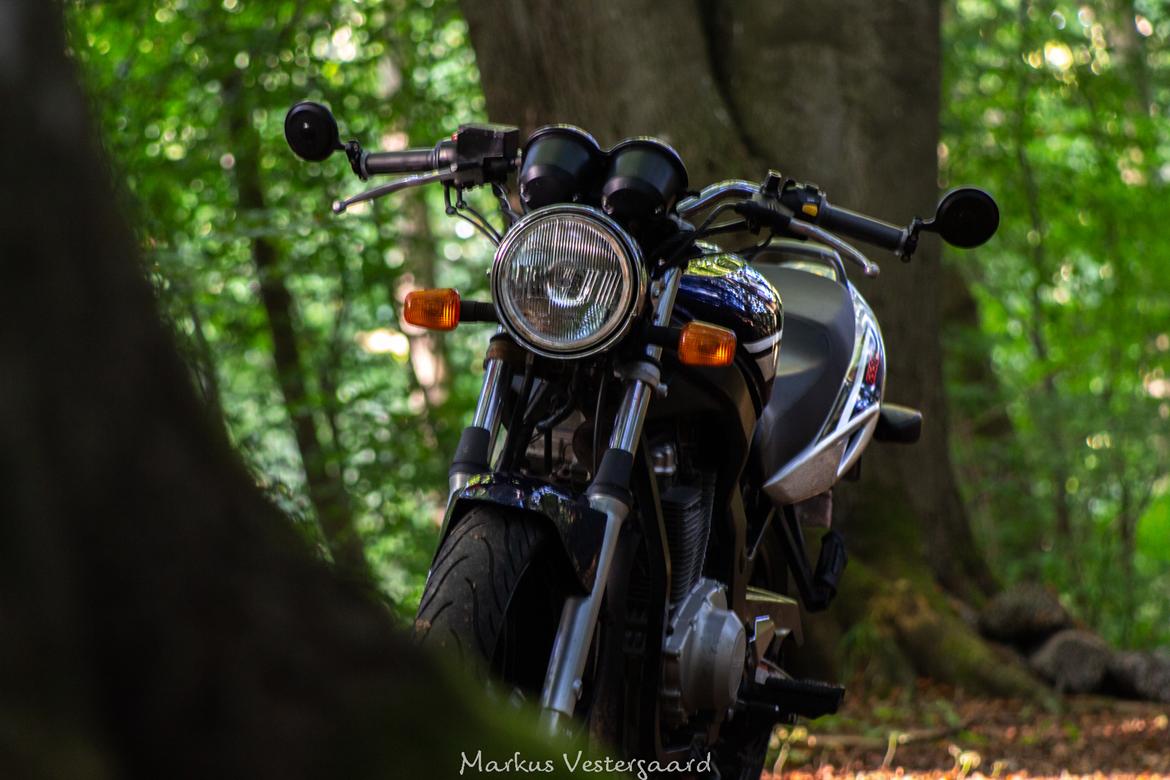 Suzuki GS 500 billede 3