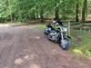 Suzuki VL 1500 Intruder LC