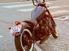 Yamaha xv250