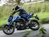 Suzuki GSX-S125 al8