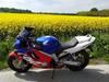Honda CBR600 F4 Ultima Light