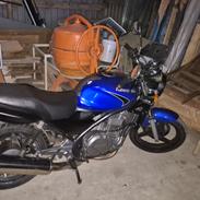 Kawasaki ER 500